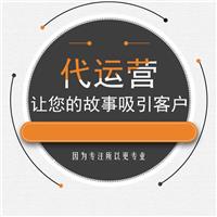 沈阳淘宝店数据营销分析网店运营方案