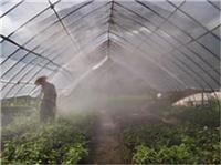 果园全自动温室喷雾加湿系统