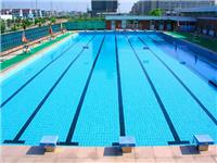 游泳池竞赛标准跳台、一级跳水台价格、金瑞豪华型泳池跳水台