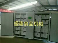 青州豆芽机报价 全自动豆芽机商用 盛隆豆芽机专卖店