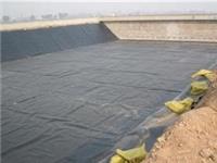 河南省H25mm高排水板销售、高50mm绿化蓄排水板//2019价格一览