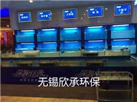 南京定做鱼缸图片南京订做海鲜鱼缸定做海鲜鱼缸制作大闸蟹鱼缸