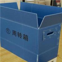 东莞专业生产纸箱型塑料折叠周转箱 高端品质