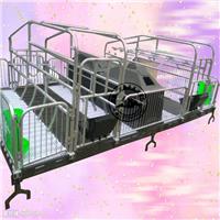 河北新型复合母猪产床规格 产保一体床定做 猪床厂家