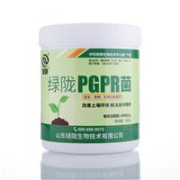 绿陇PGPR抗重茬 根癌根瘤改善修复连作土壤促生抗病线虫复合微生物菌剂