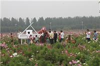河北省沧州市兴丰农场一个实现田园梦想的休闲度假庄园