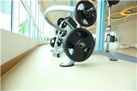 健身房PVC运动地板-塑胶地板-弹性地板