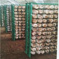 蘑菇培养架厂家食用菌工厂化网格工厂化出菇网片 食用菌网格