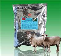 金宝贝养羊发酵床让养羊专业户2019年继续养殖
