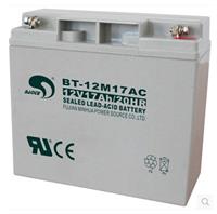 赛特BT-HSE-55-12 10HR蓄电池现货|直流屏电力**