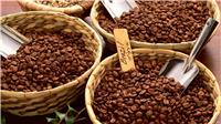 印尼咖啡豆进口报关欢迎咨询