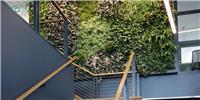 广东植物绿雕厂家定制植物绿墙室内植物绿墙