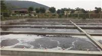 惠州废水处理之惠东屠宰养猪场废水处理设备环保工程