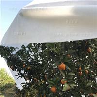 柑橘保护覆盖布