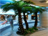 批发仿真棕榈树椰子树酒店商场装饰仿真树绿化工程免费设计