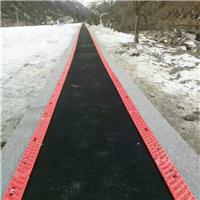 河北输送机魔毯厂家 游乐设备新型滑雪场魔毯价格