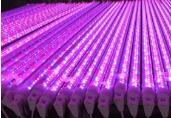 特殊照明高CRI全光谱T5/T8灯管LED植物生长灯