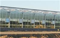 辽宁现代农业大棚材料，想建温室大棚阳光板就到常州品塑新材料