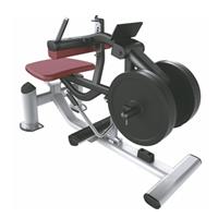 山东琳赛健身器材公司低价**优惠供应小腿提升训练器健身器材