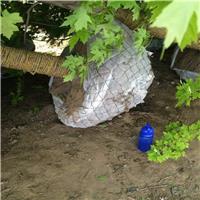 优质包树土球网批发，移栽泥头网规格，包土球铁丝网筐网篮