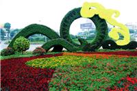 供应国庆花坛常用花卉、节日常用花卉