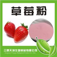 草莓粉 草莓汁粉 按照标准加工 喷雾干燥
