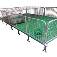养殖场育肥仔猪保育床 双体加重复合保育床尺寸 为什么猪场用保育床设备