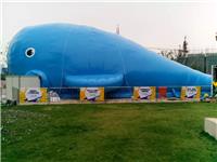 *粉色透明鲸鱼岛展览租赁鲸鱼岛海洋球厂家活动出租出售
