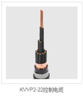 远东电缆KVVP2-22控制电缆
