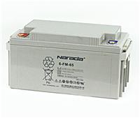 南都蓄电池6-FM-55 12V55AH原装报价 大电池高品质