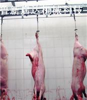 屠宰设备厂家 大中小型猪屠宰烫毛脱毛机价格 脱毛干净不伤猪皮