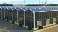 采光较好的玻璃温室大棚12米跨度建好厂家零部件发货厂