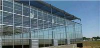 大棚骨架建设施工专业化阳光板温室大棚低配置生产加工厂