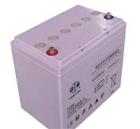 蓄电池6-GFM-100双登蓄电池12V100AH 应急电源UPS铅酸蓄电池