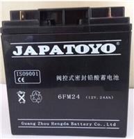 东洋蓄电池6GFM65价格/测试