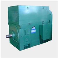 YL3553-4 220KW与YL5003-10/500KW高压立式电机