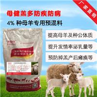 基础母羊繁殖饲料 母羊产前瘫痪预混料