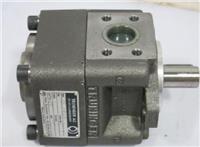 瑞士Truninger油泵QT62-080/32-016/R