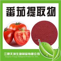 番茄红素含量 番茄汁浓缩粉 植物提取物厂家直销 量大从优