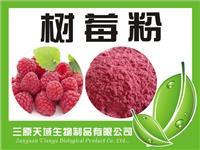 供应红树莓果汁粉 新鲜覆盆子果粉食品级 1公斤起订 厂家现货