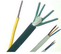 安徽鸿杰 厂家直销供应 氟塑料电缆ZR192-KFF 伴热电缆 电力电缆 特种电缆