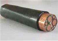 安徽鸿杰 厂家直销供应 金属屏蔽电缆VV-P YJV-P伴热电缆 电力电缆 特种电缆