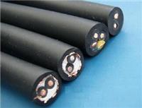 安徽鸿杰 厂家直销供应 高温耐火电缆NH-VV 伴热电缆 电力电缆 特种电缆