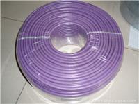 SIEMENS|西门子通讯紫色电缆