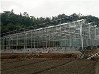山东文洛式玻璃智能温室公司 河南奥农苑温室工程有限公司