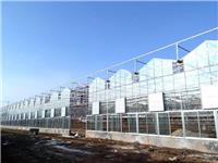 玻璃温室制造厂 河南奥农苑温室工程有限公司