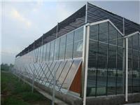 上海玻璃温室规格 河南奥农苑温室工程有限公司
