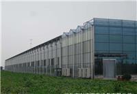 瑞典智能温室大棚生产 河南奥农苑温室工程有限公司