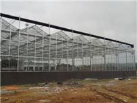 深圳文洛式玻璃智能温室型号 河南奥农苑温室工程有限公司