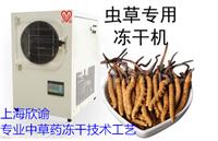 上海欣谕小型冻干机XY-FD-L1A家用冷冻干燥机虫草冻干机